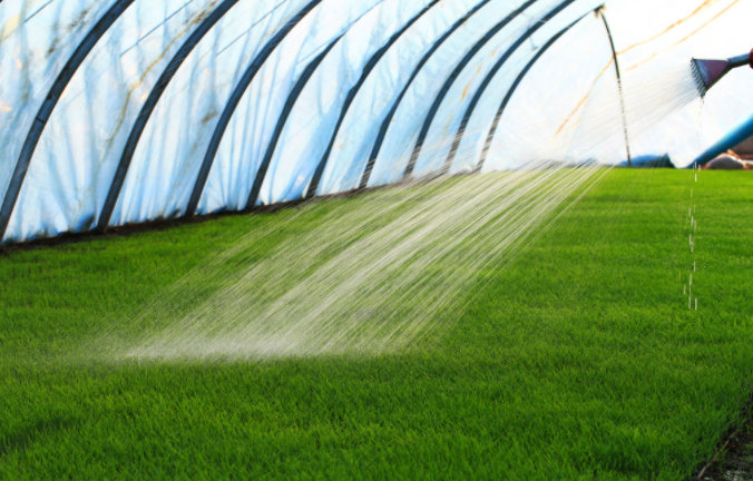 土壤墒情监测系统指导灌溉，现代农业节水提产