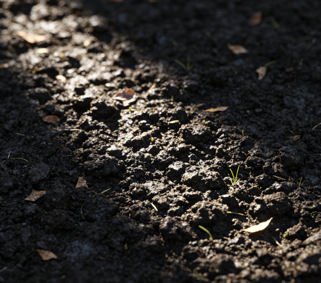 便携式土壤重金属测定仪