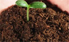 高智能土壤肥料养分速测仪怎么进行土壤化验？