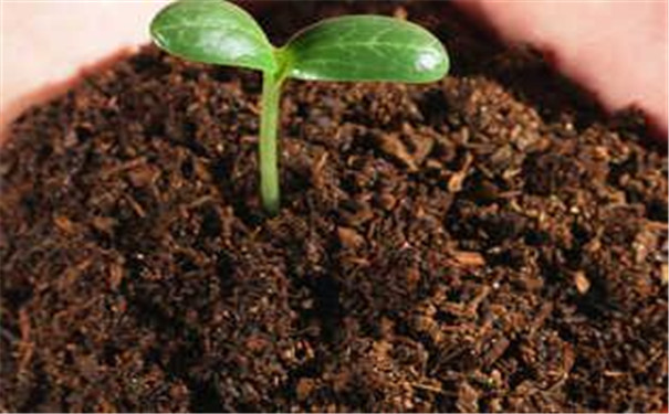 高智能土壤肥料养分速测仪