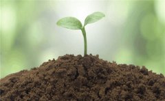 土壤养分测试仪怎么选？